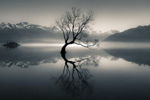 Astralis战队重组进行时，新阵容磨合效果如何备受瞩目！