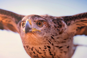 电竞正年轻，它承载了多少青春的梦想研究报告触动心弦